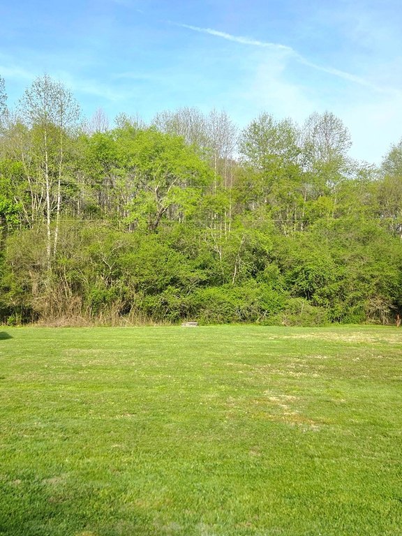 Picture 7