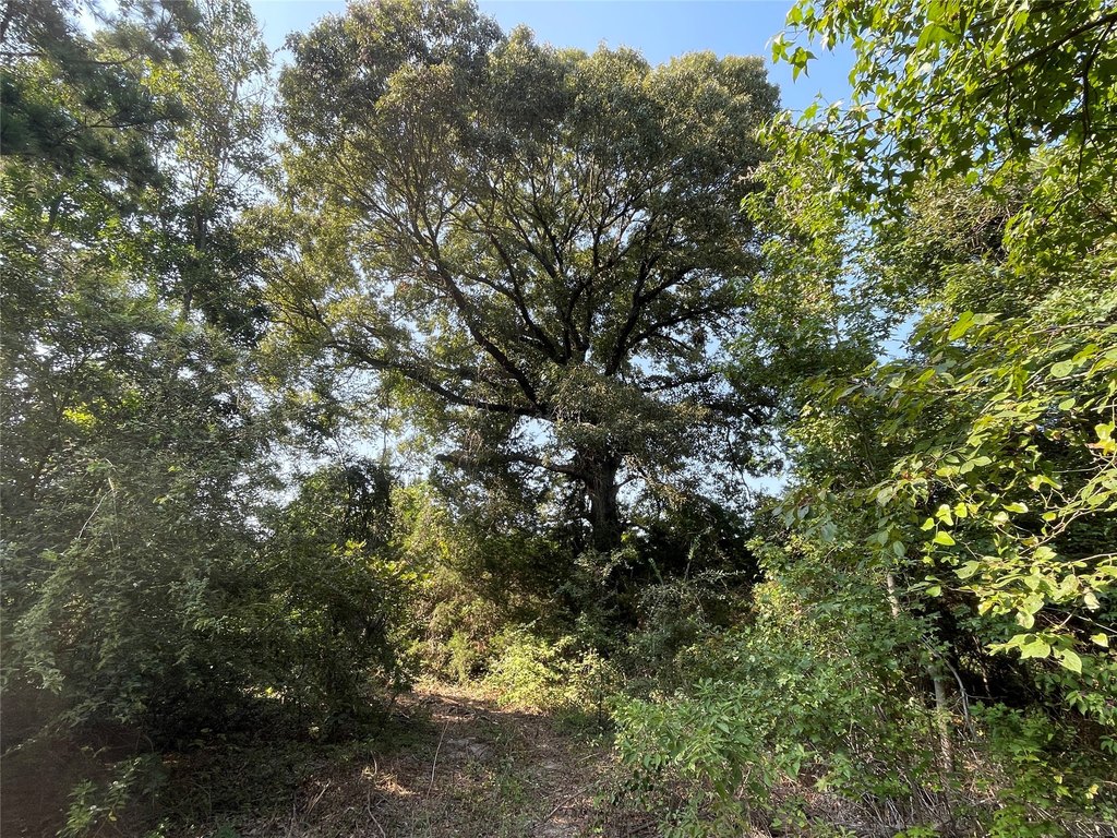 Picture 34