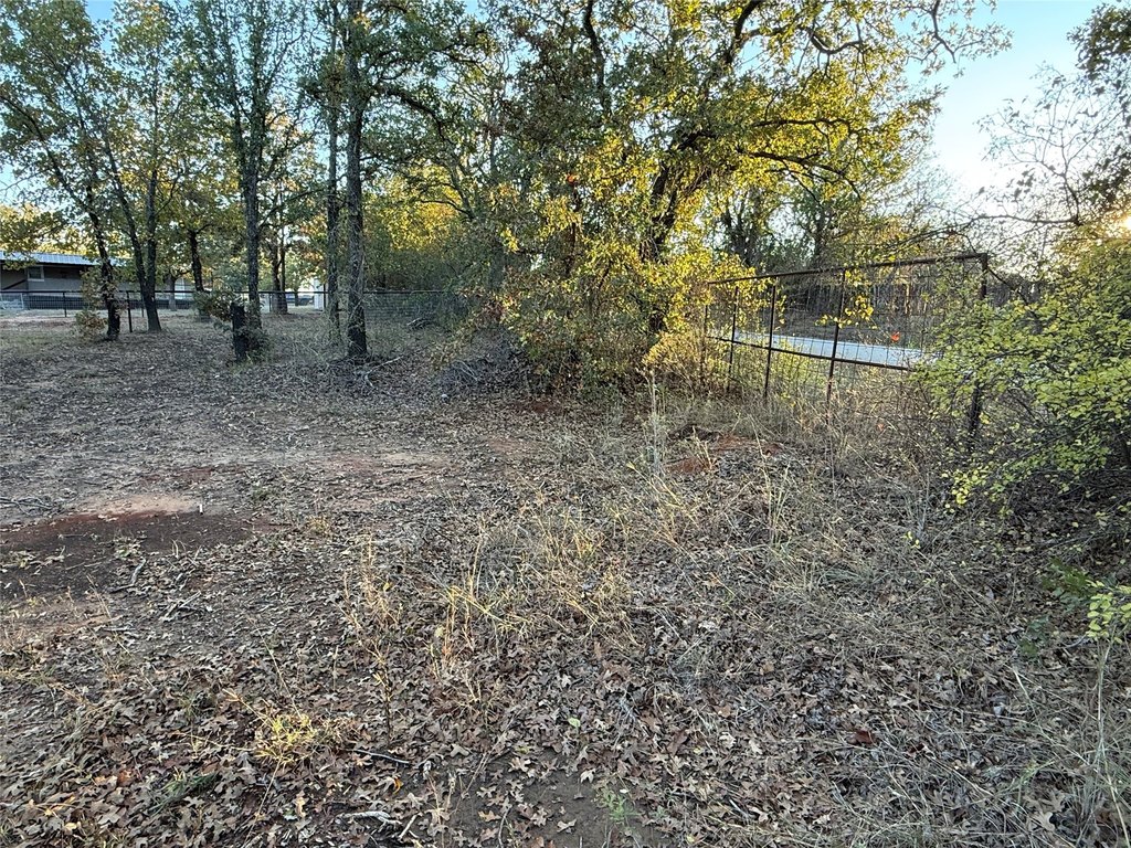 Picture 19