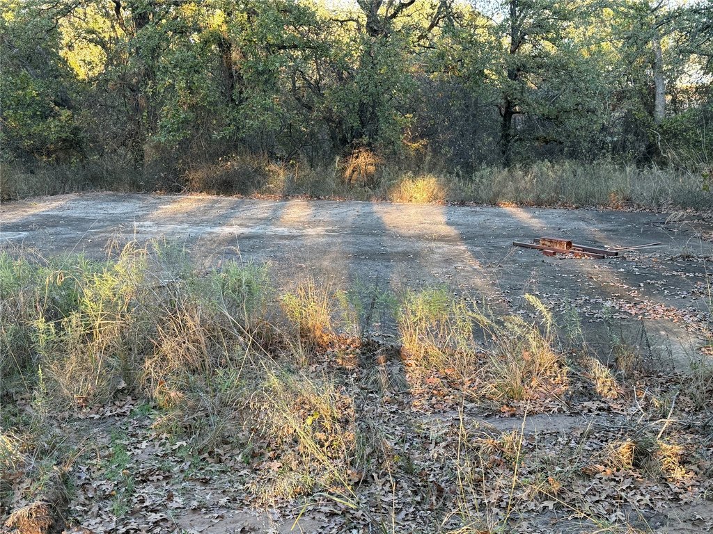 Picture 17