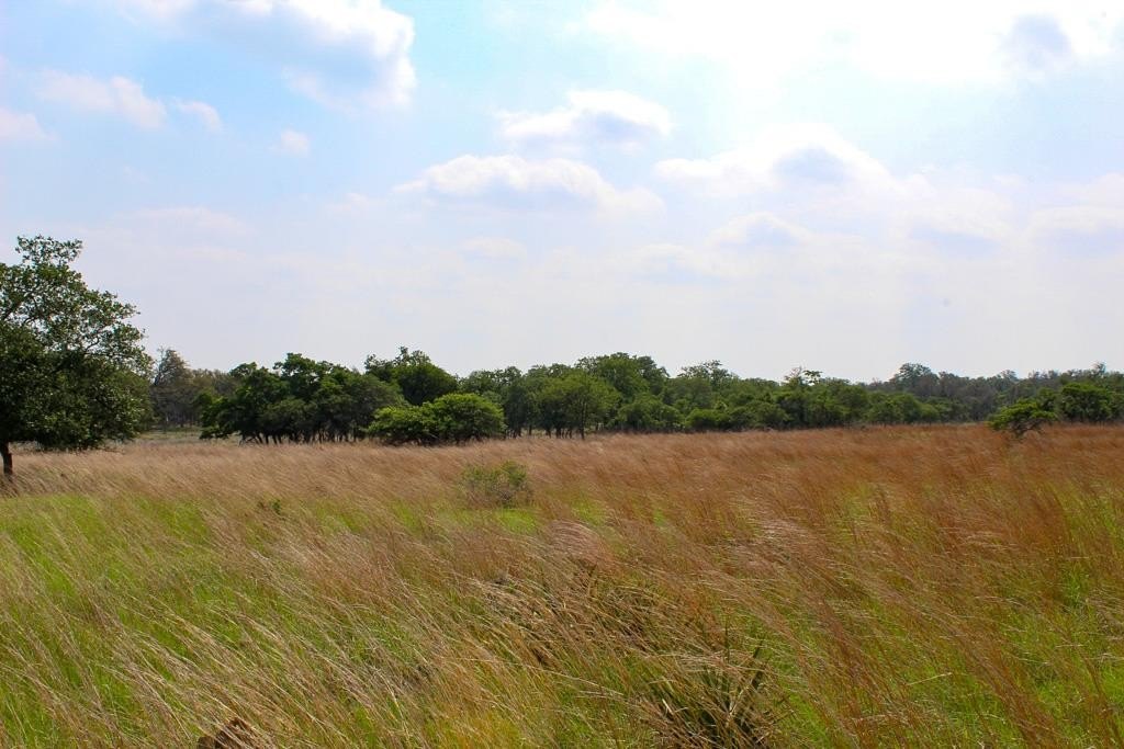 Land in Harper, Texas