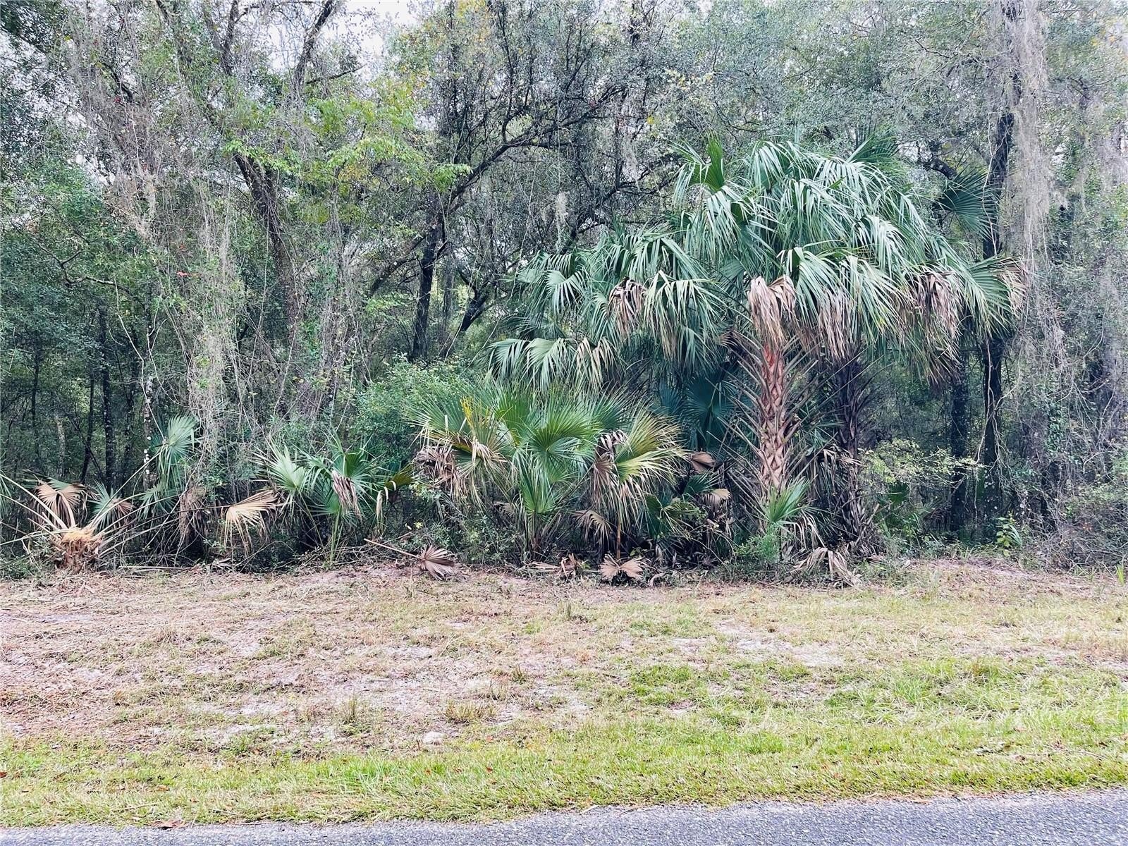 4.05 Acres Agricultural Land Parcel