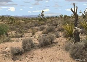 Land, Meadview, AZ
