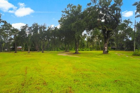 Picture of Land at Highway 71 S 1021, Wewahitchka, FL