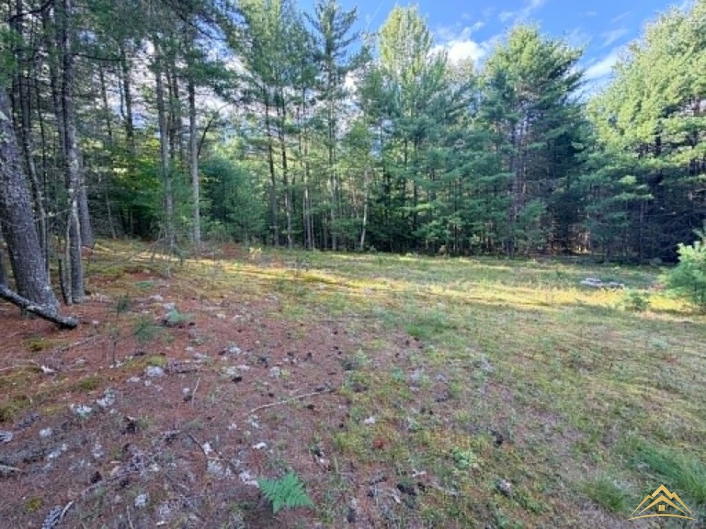 Picture 8