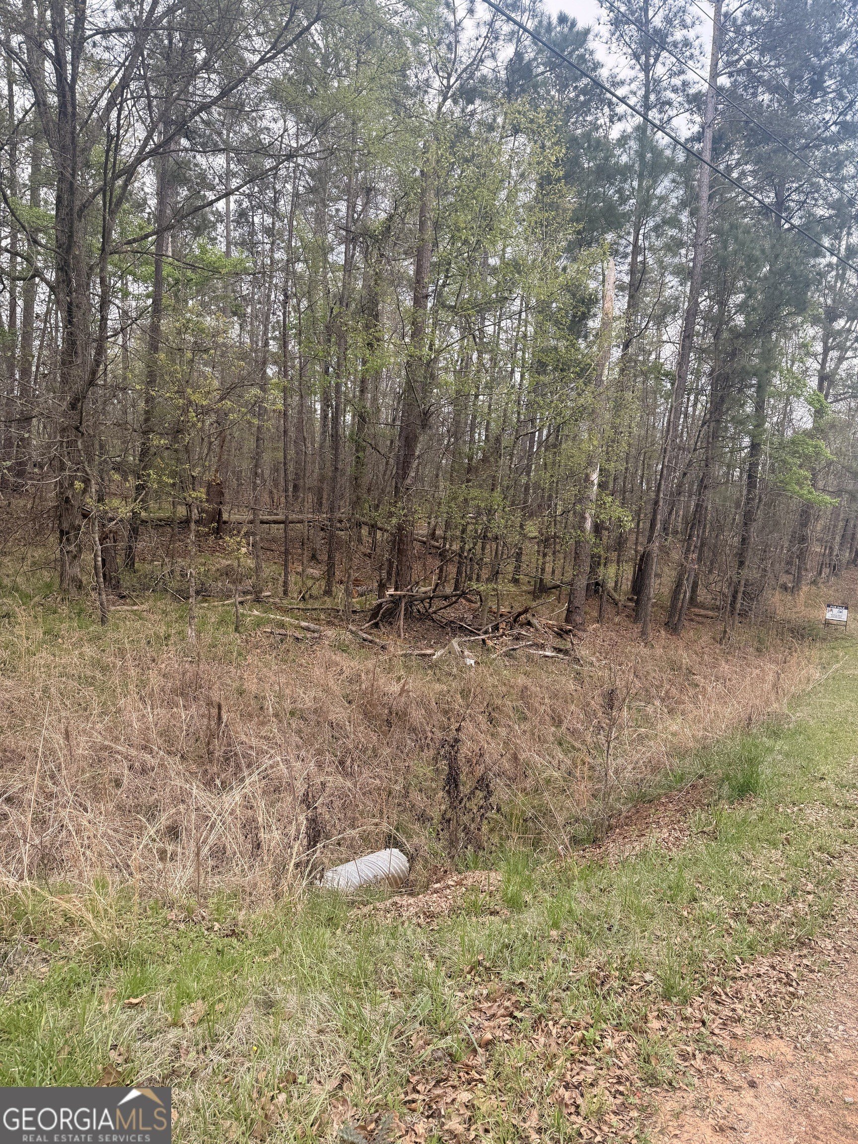 Wooded Lot Near Lake Sinclair