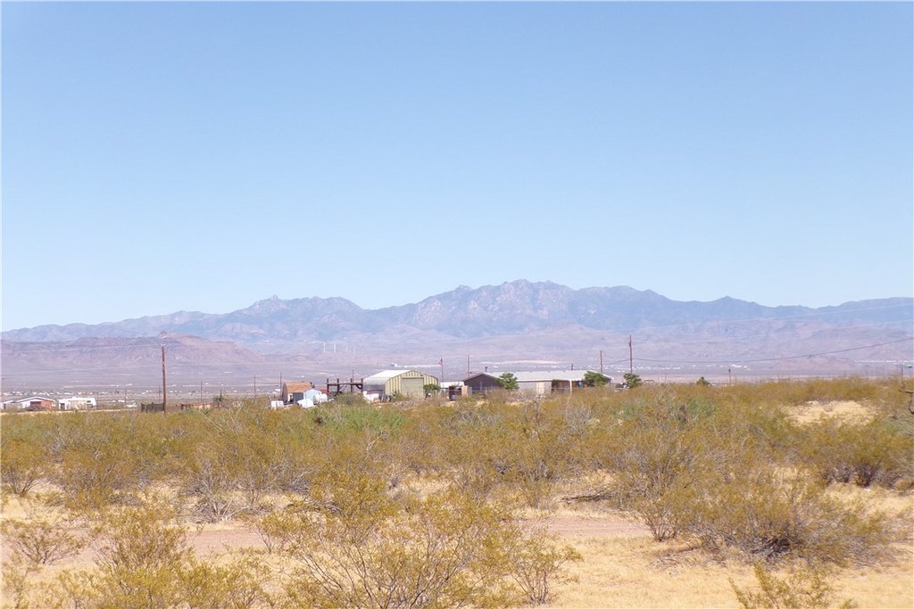 Picture 24