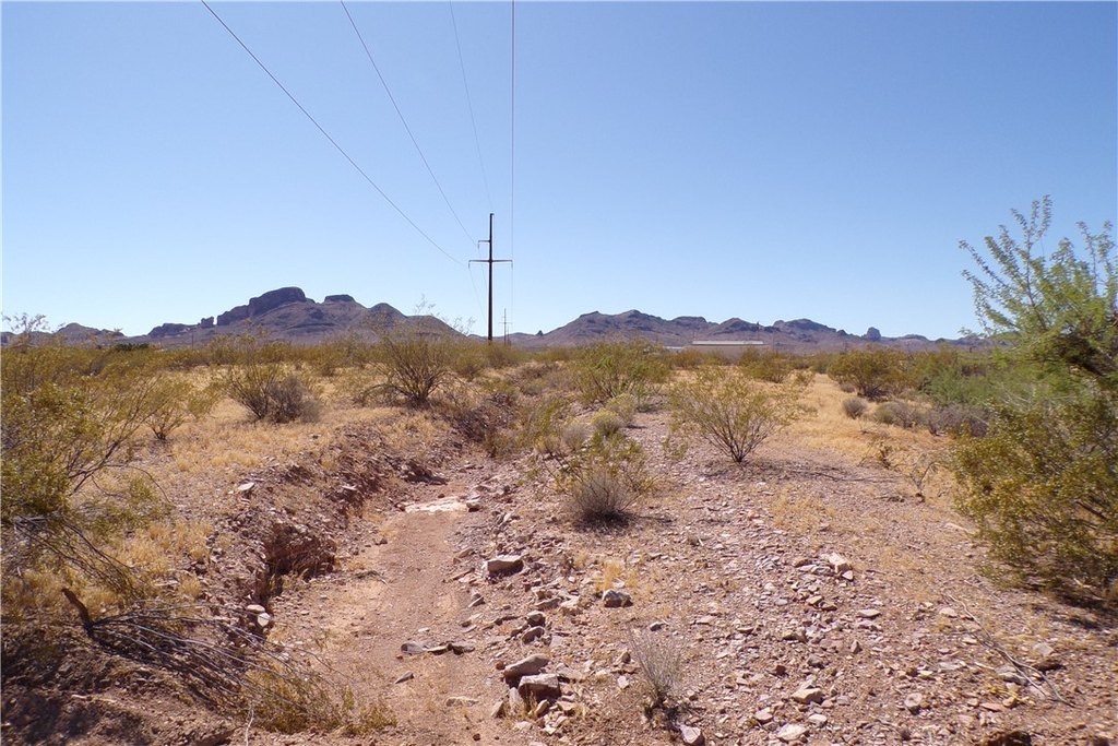Picture 13