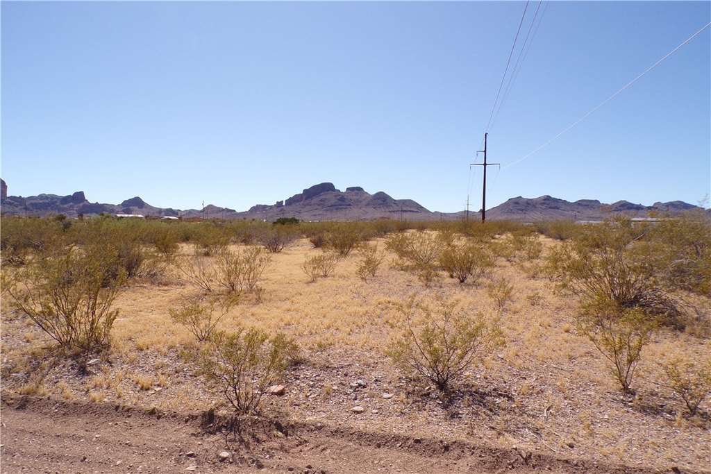 Picture 14