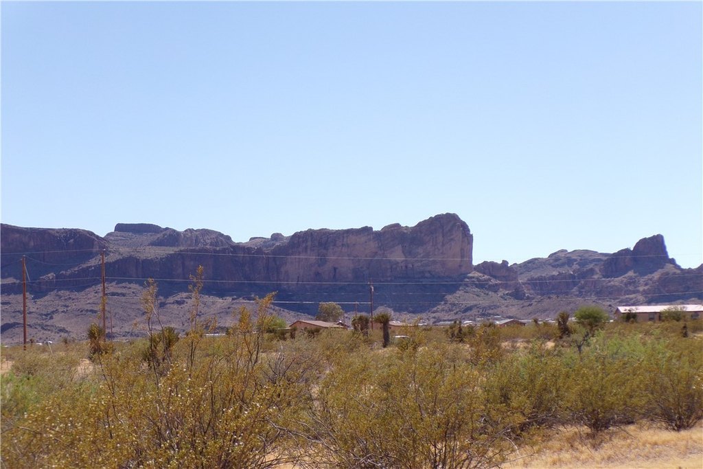 Picture 23