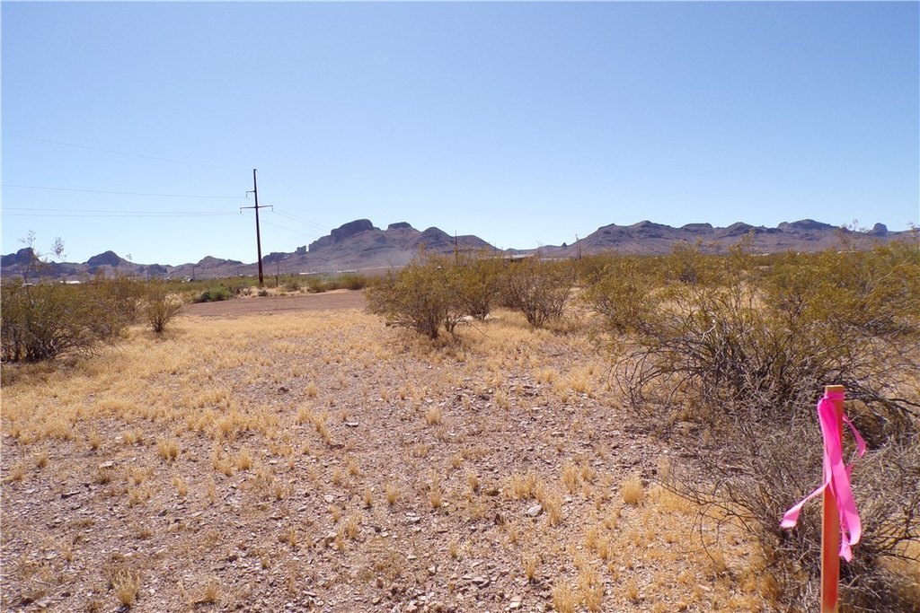 Picture 25