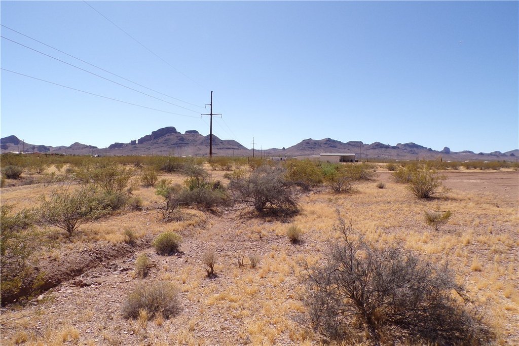Picture 12