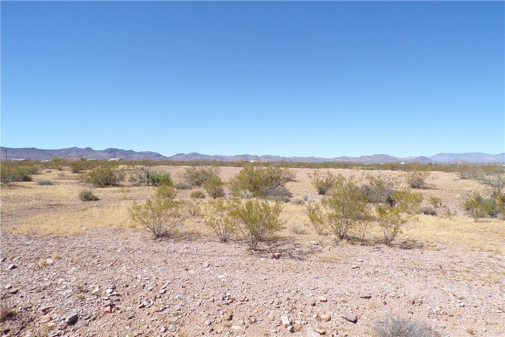 Picture 18