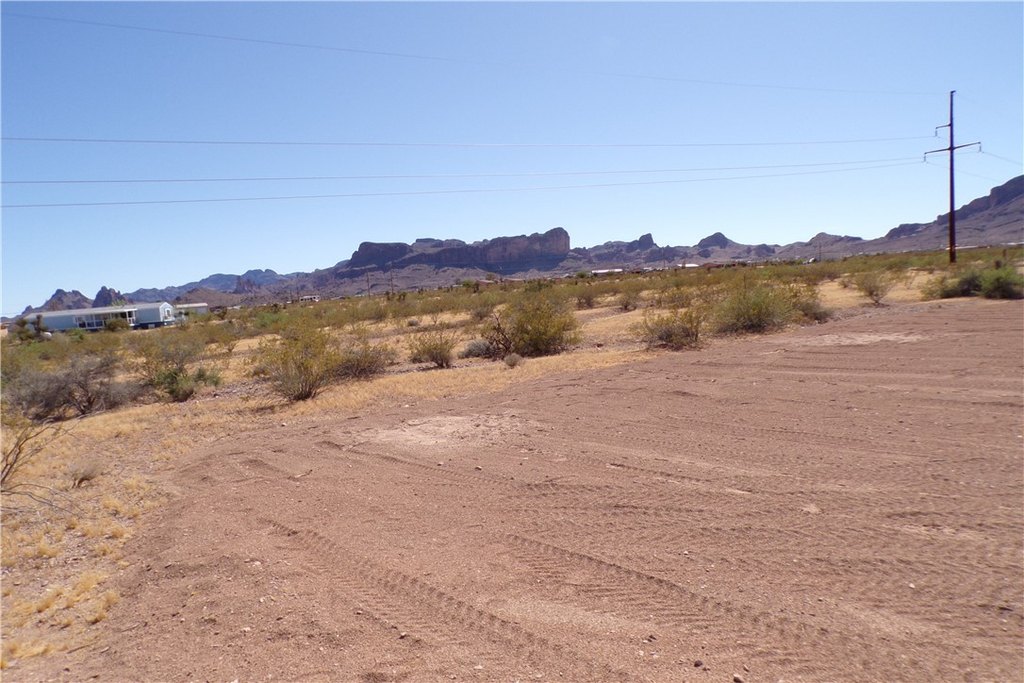 Picture 6