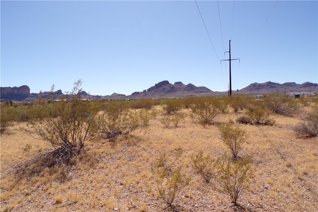 Picture 19