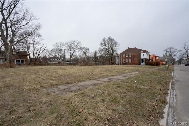 Picture 3