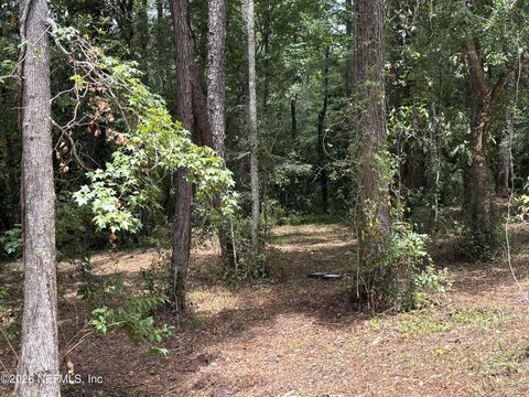 Land, Middleburg, FL