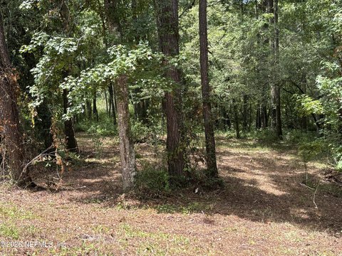 LAND - Middleburg, FL