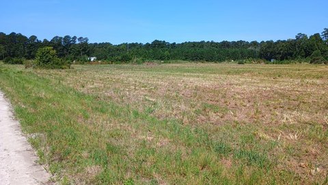 LAND, Green Sea, SC