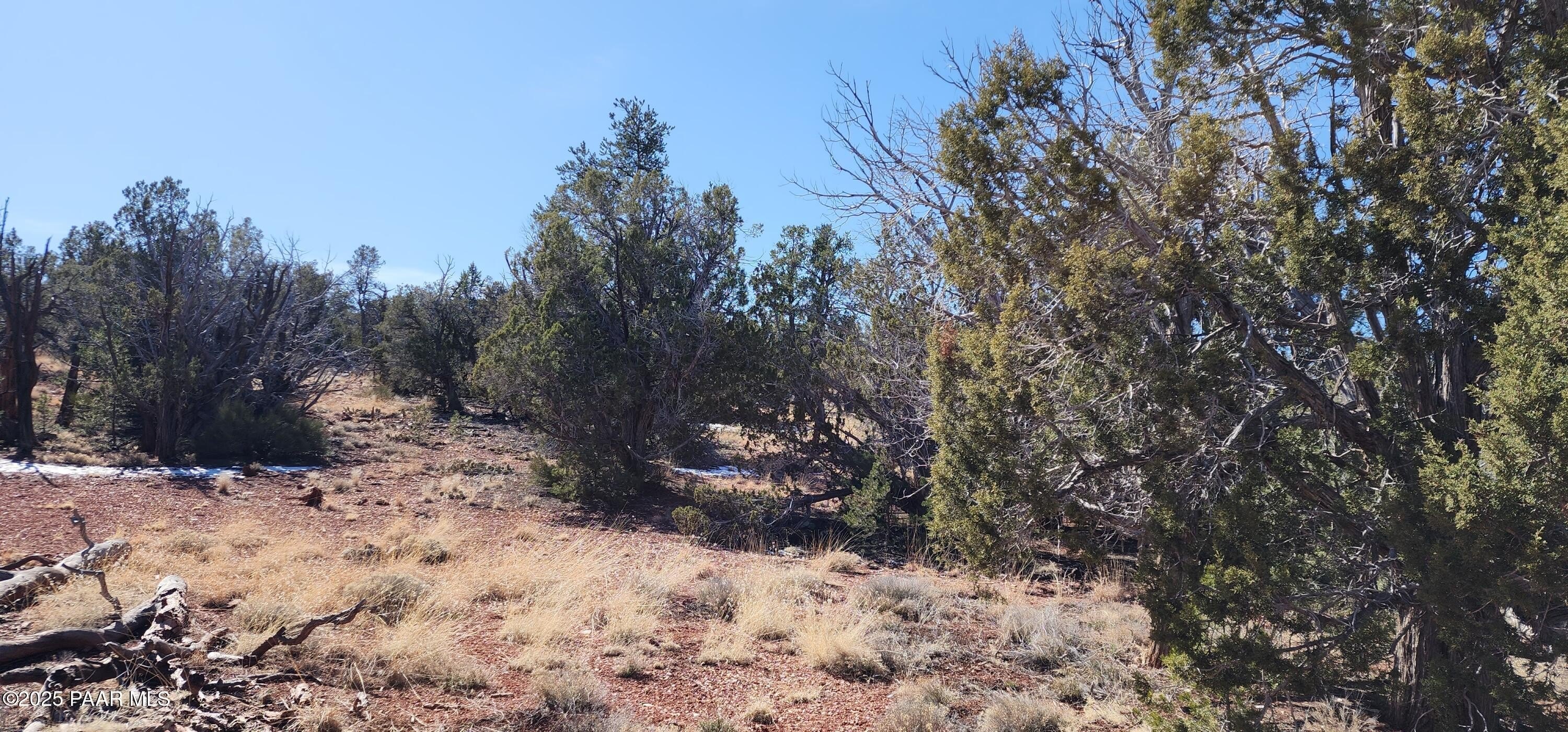 Ash Fork Land with Views