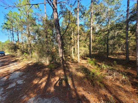 DeFuniak Springs Wood Lot
