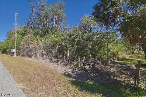 LAND - Alva, FL