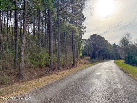 Land, Carthage, MS