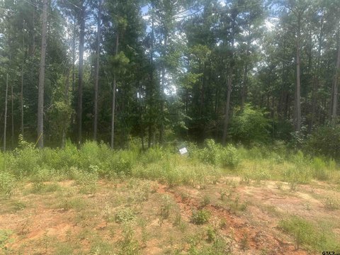 Wooded Acreage with Privacy