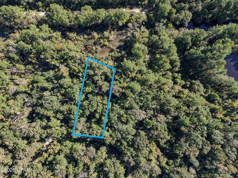 Land, Wewahitchka, FL