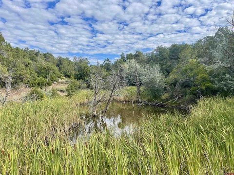 26 Acres Near Downtown Dolores