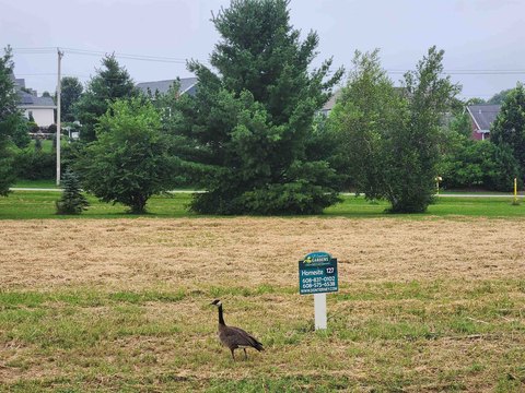 Sun Prairie Residential Lot