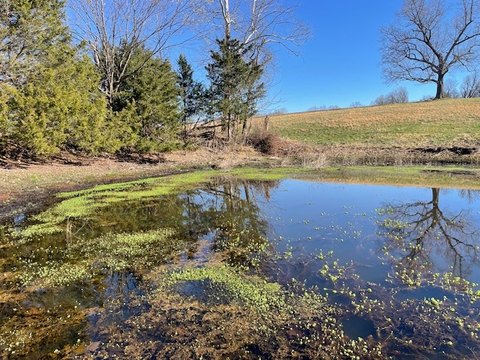 Land, St Joe, AR