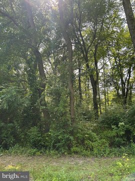 Buildable Lot in Millington, MD