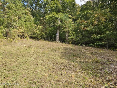 Lots & Acreage, Speedwell, TN