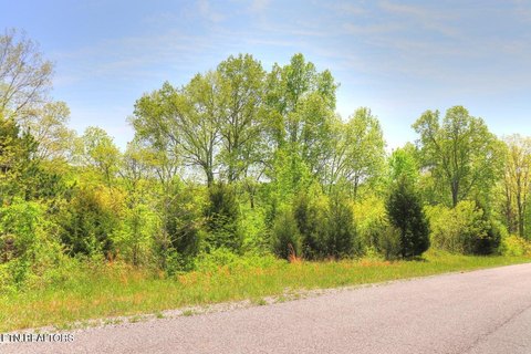 Lots & Acreage, Speedwell, TN