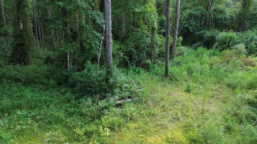 Picture 8
