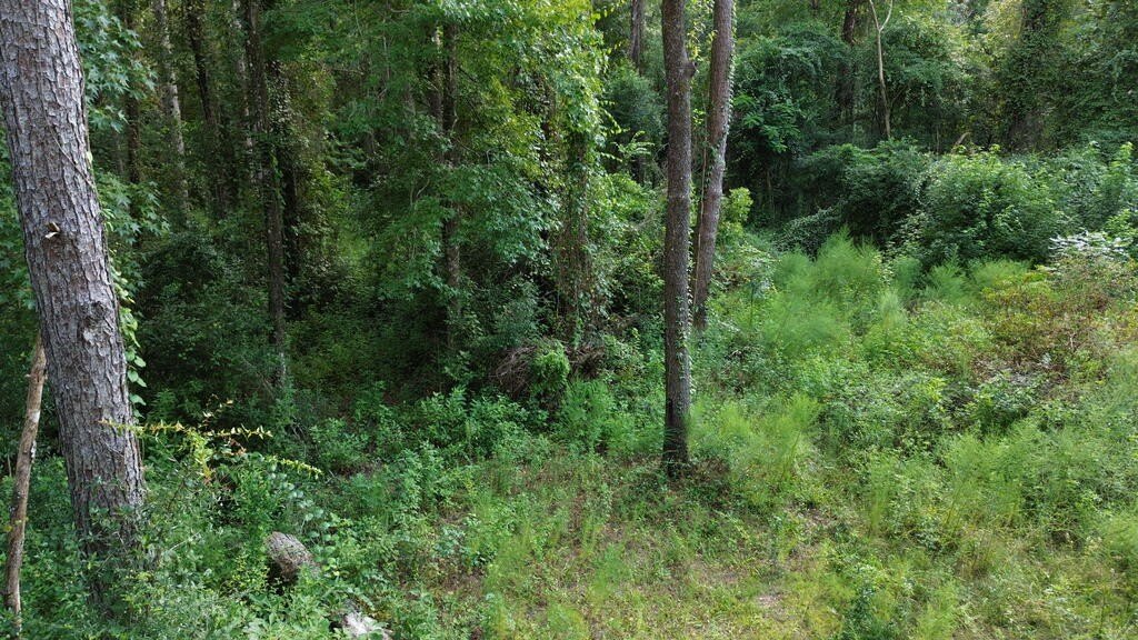 Picture 7
