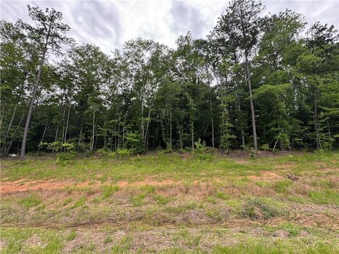 LAND - AUBURN, AL