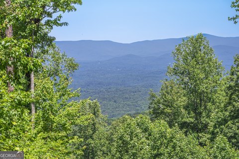 Jasper, GA Land with Views