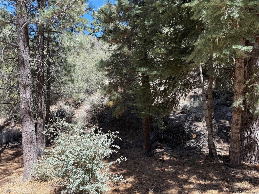 Quarter-Acre Lot with Mountain Views