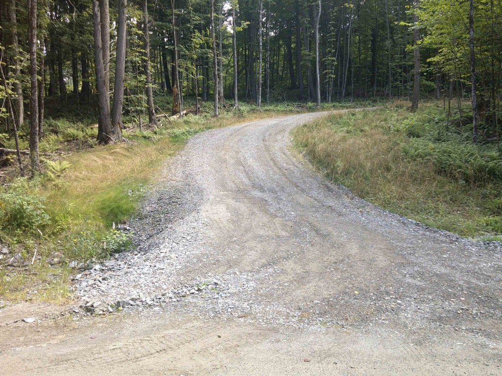 Picture 6