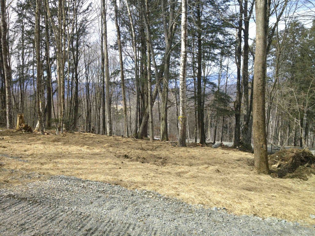 Picture 36