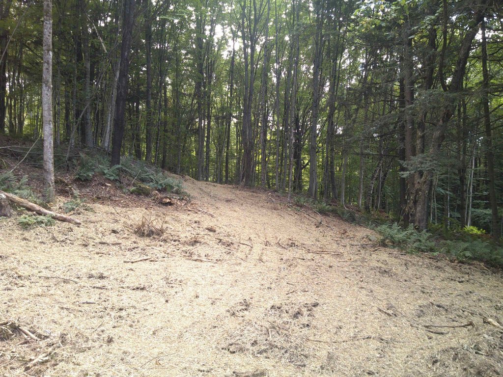 Picture 40