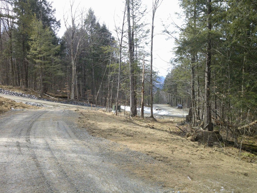 Picture 31