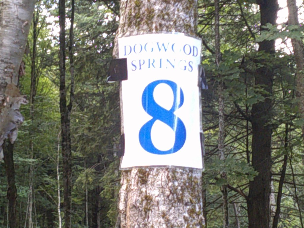 Picture 9