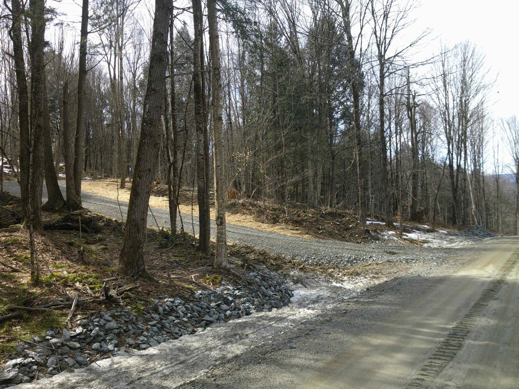 Picture 30