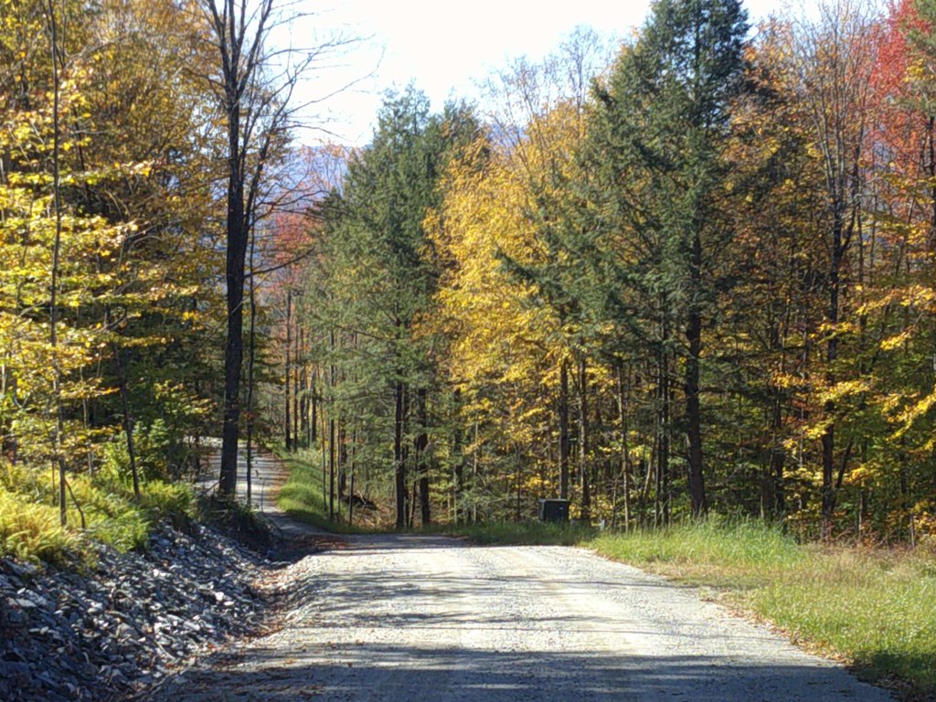 Picture 43