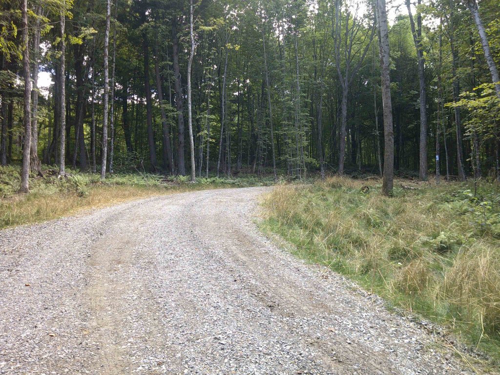 Picture 7
