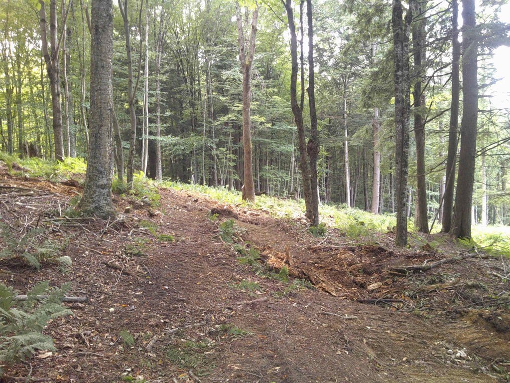 Picture 41
