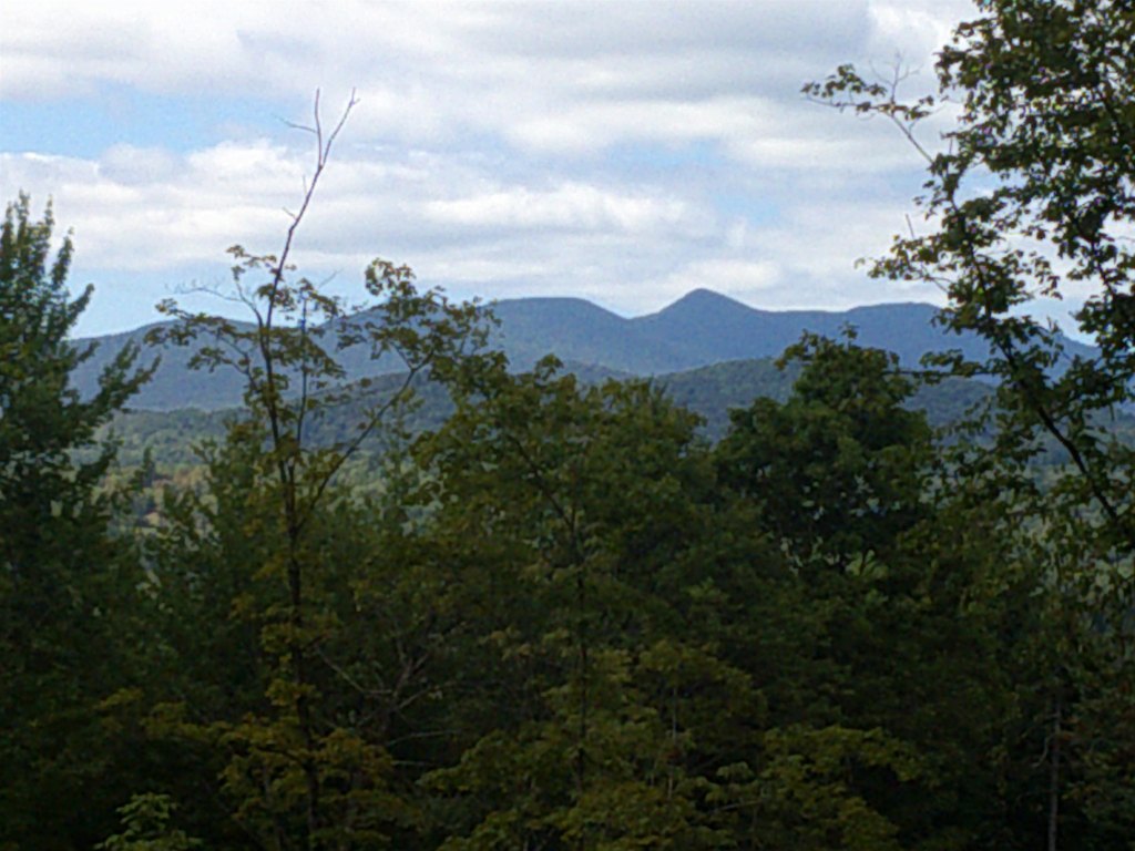 Picture 42
